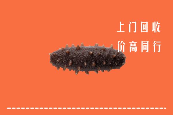 收购行情：长阳县回收海参